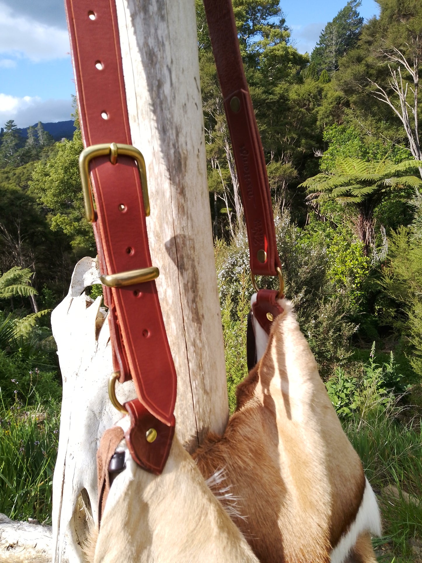 The Springbok Bag