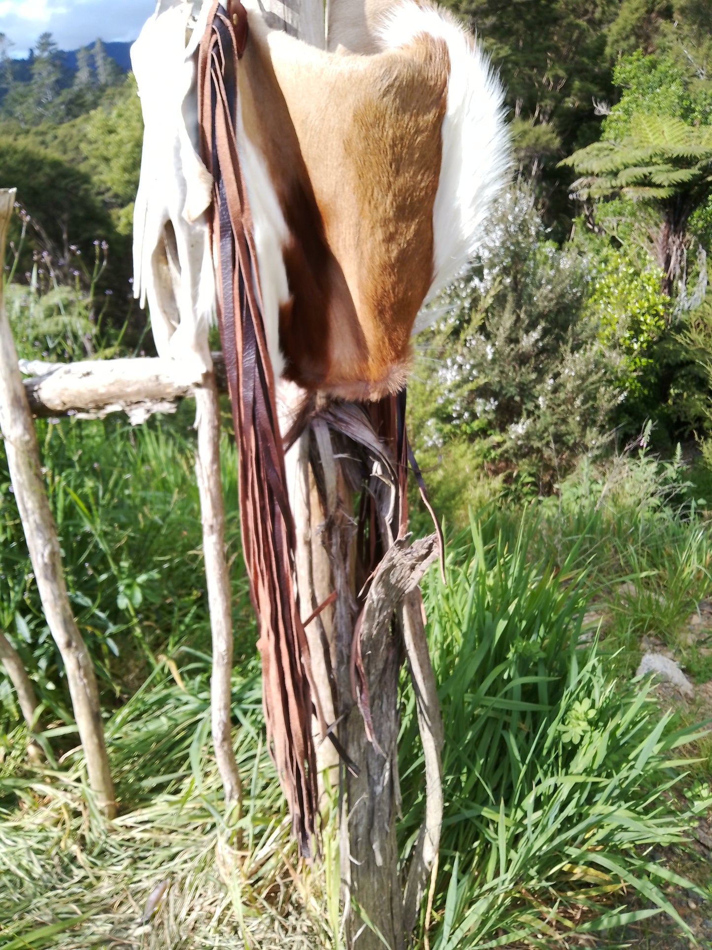 The Springbok Bag