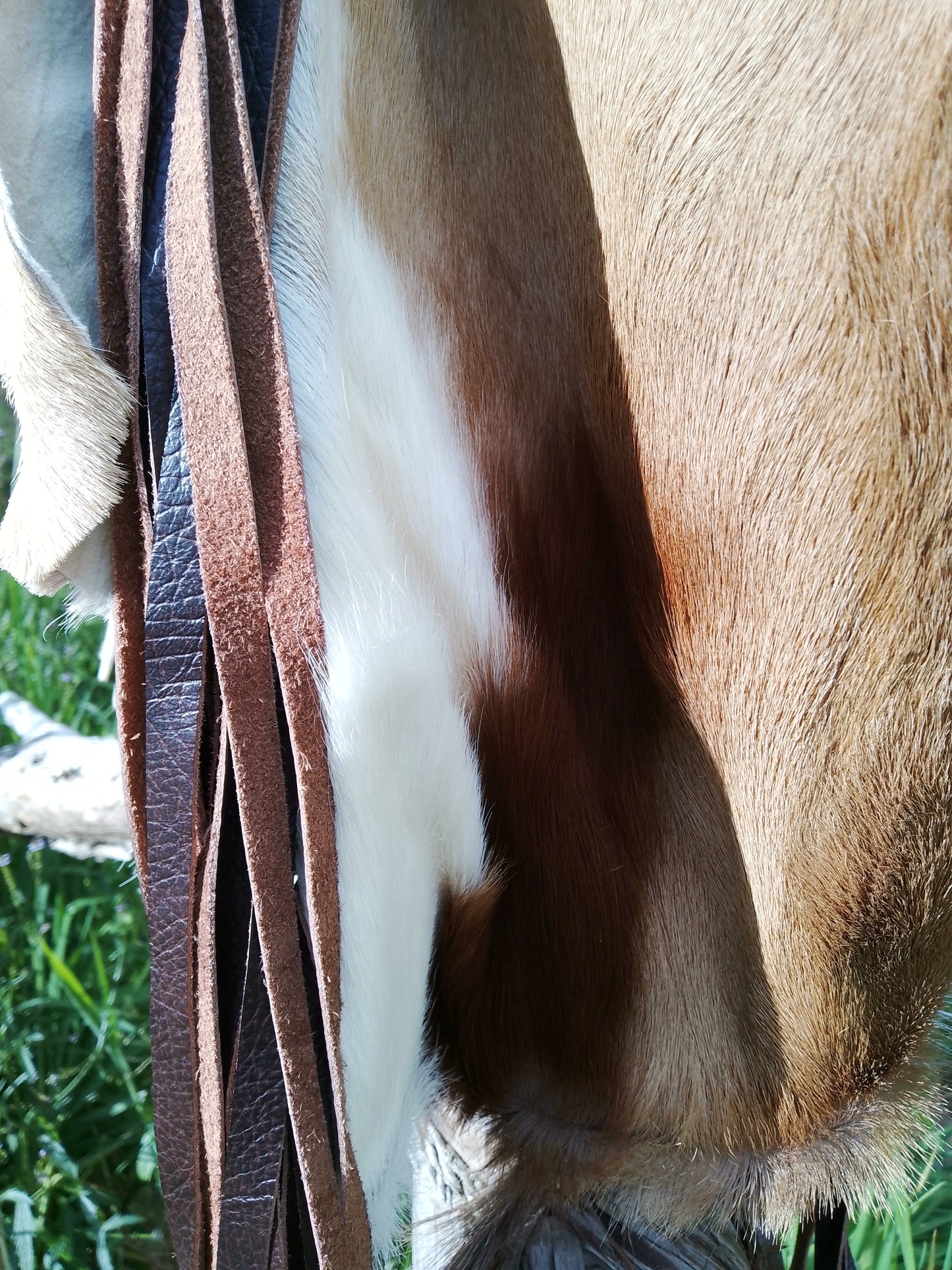 The Springbok Bag