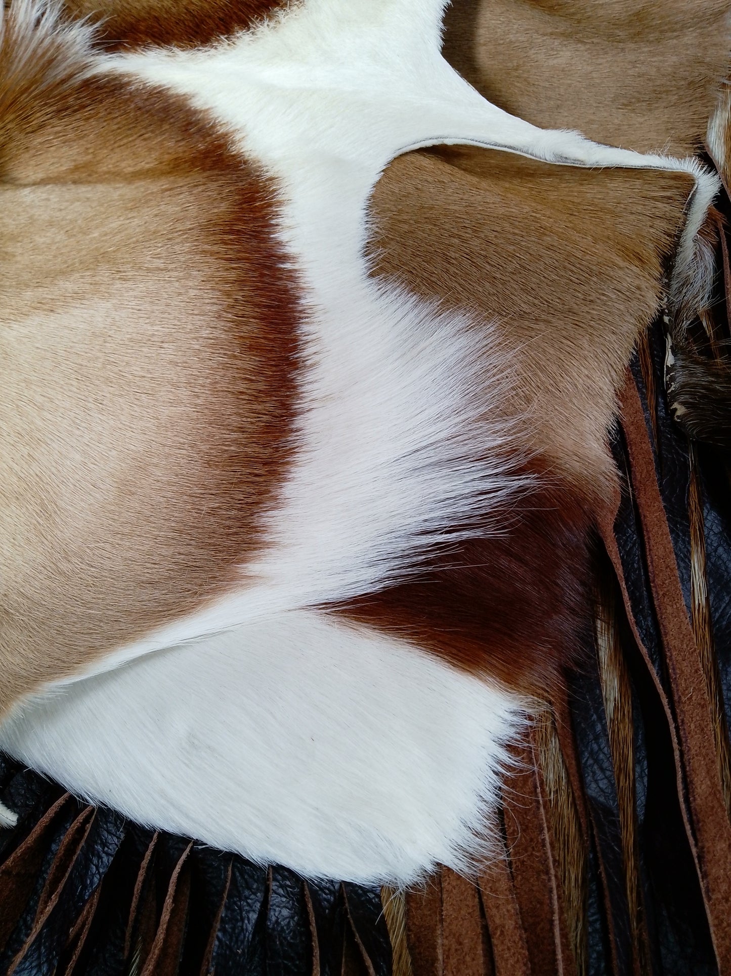 The Springbok Bag
