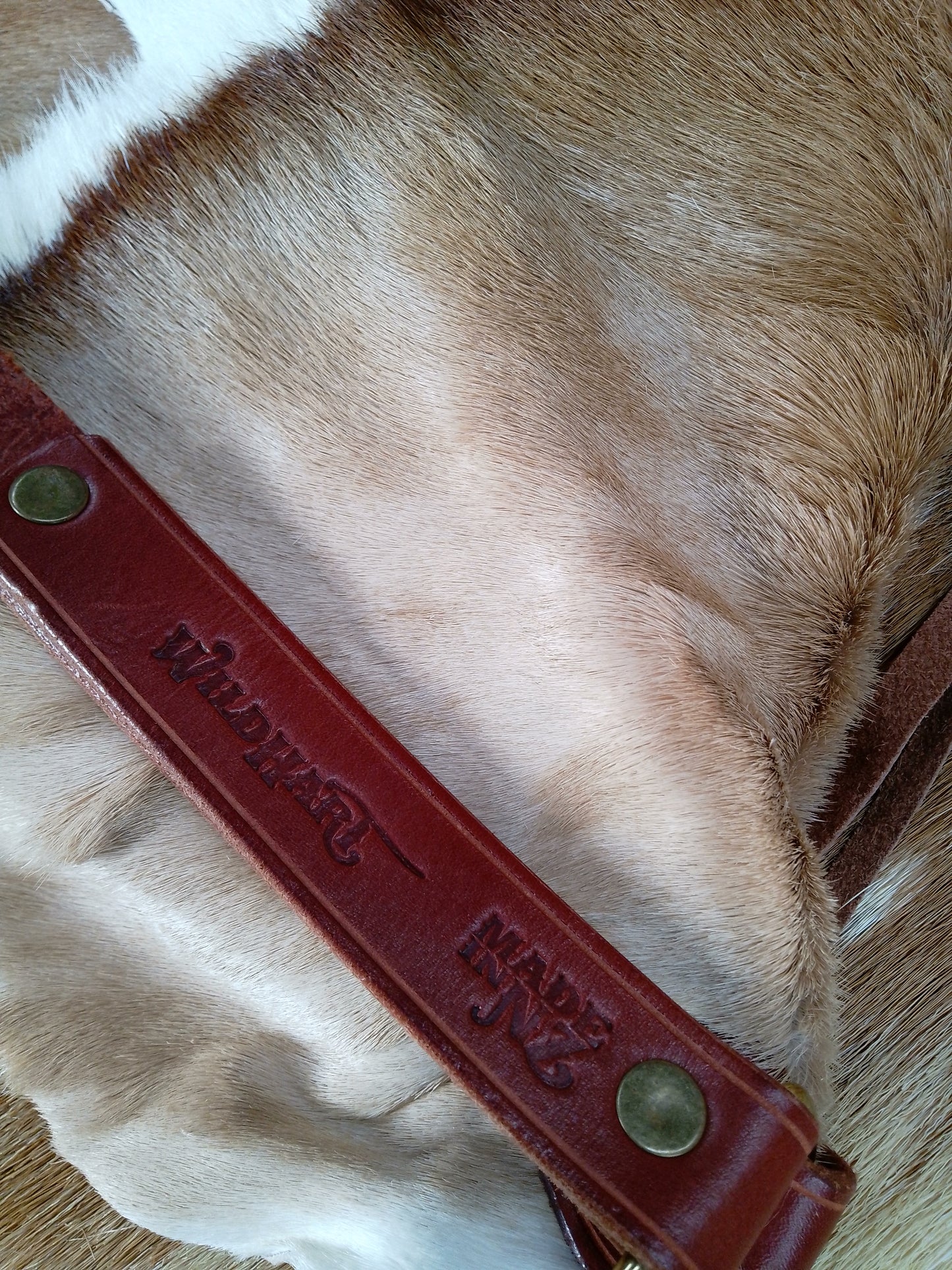 The Springbok Bag