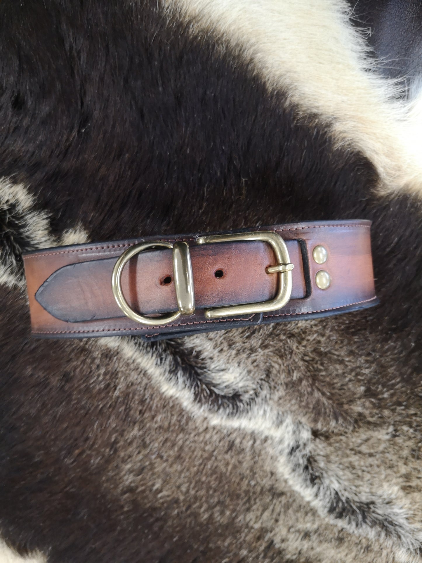 Tree of Life 2 Inch Collar