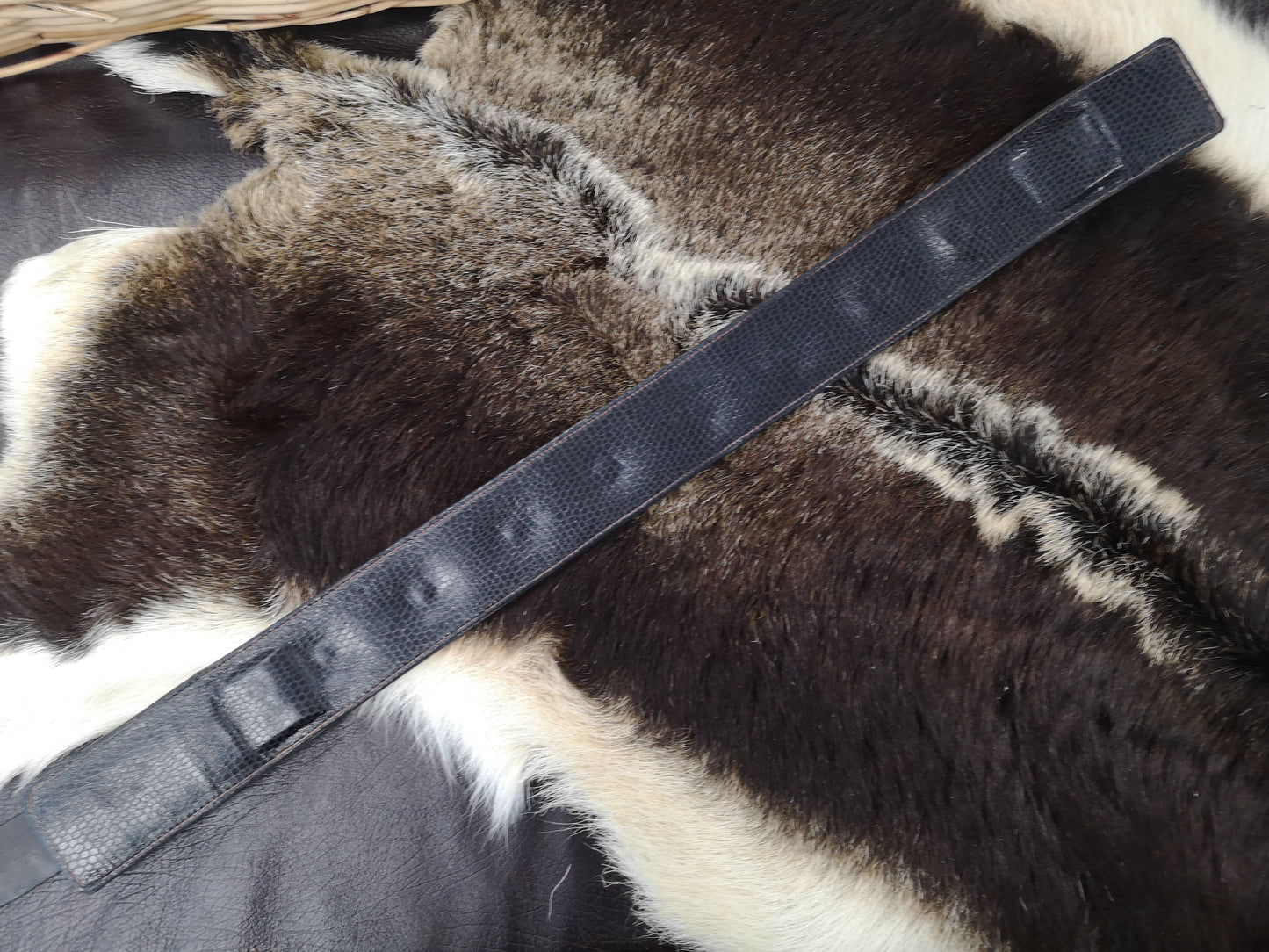 Silver Concho Studded 2 Inch Collar