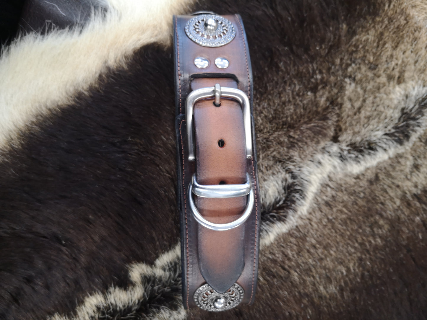 Silver Concho Studded 2 Inch Collar