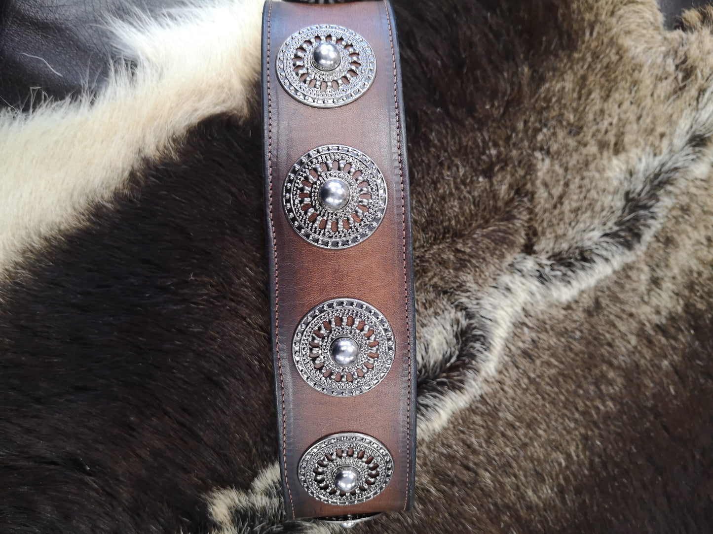 Silver Concho Studded 2 Inch Collar