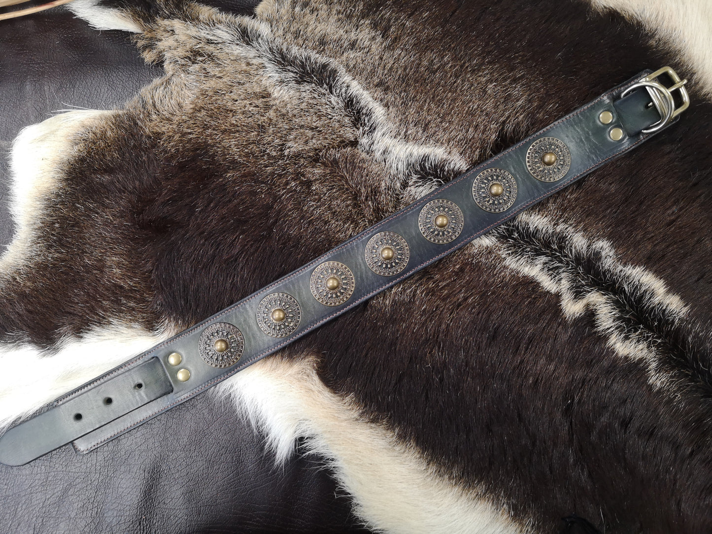 Brass Concho Studded 2 Inch Collar