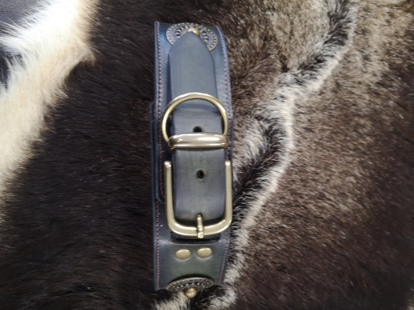 Brass Concho Studded 2 Inch Collar