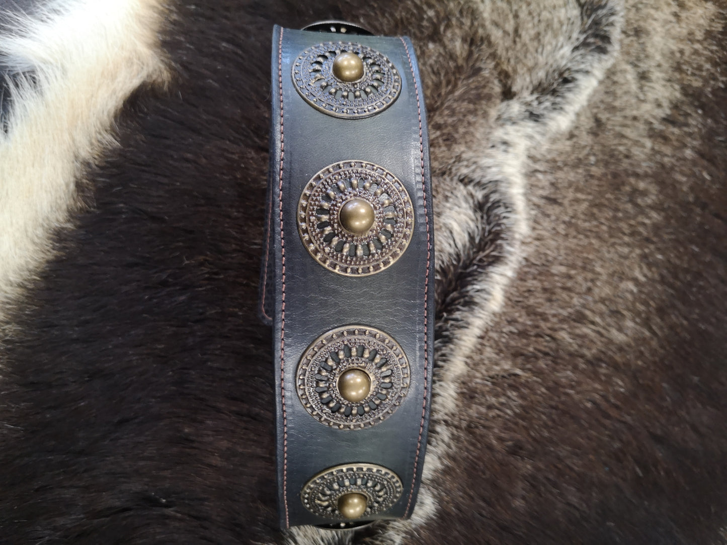 Brass Concho Studded 2 Inch Collar
