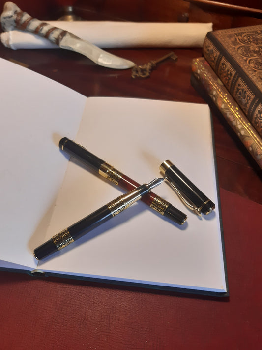 Calligraphy Nib Pen - Refillable - Fancy