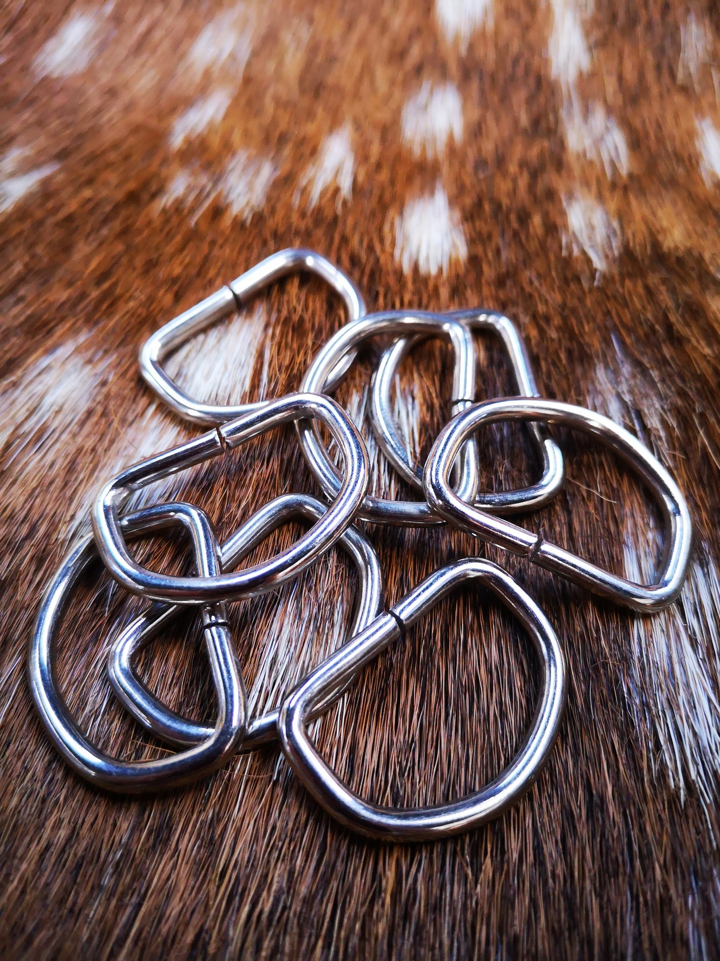 Silver D-Ring 25mm